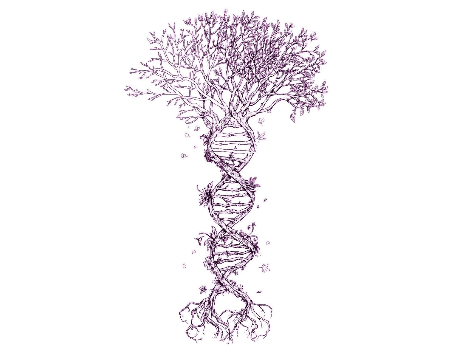 Древо жизни ДНК
